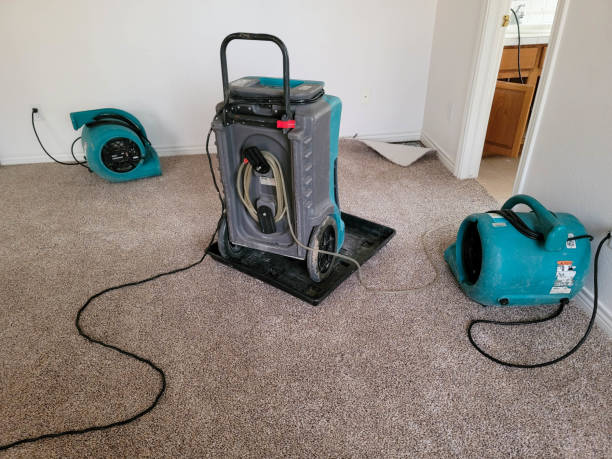 Best Flooded house restoration  in Lordstown, OH