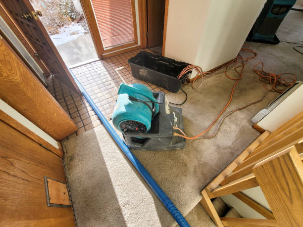 Best Flood damage cleanup  in Lordstown, OH