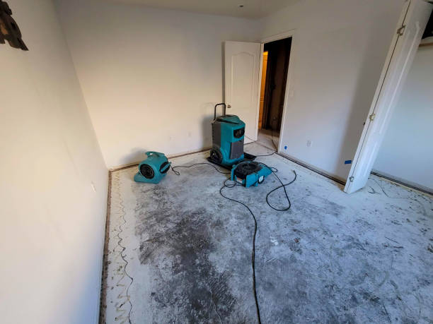 Best 24/7 water damage repair  in Lordstown, OH