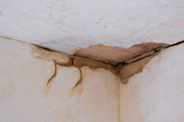 Best Sewage cleanup and water damage restoration  in Lordstown, OH