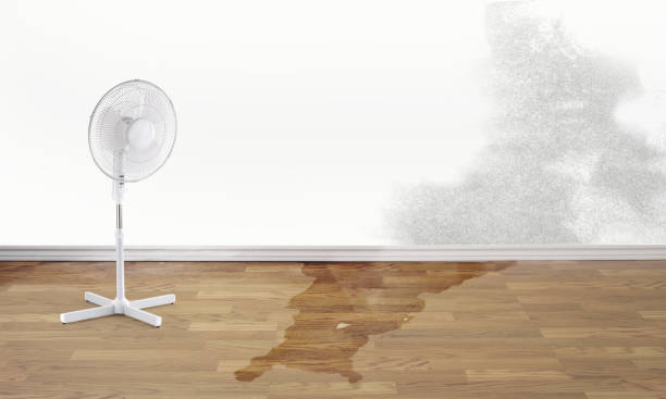 Best Sewage cleanup and water damage restoration  in Lordstown, OH