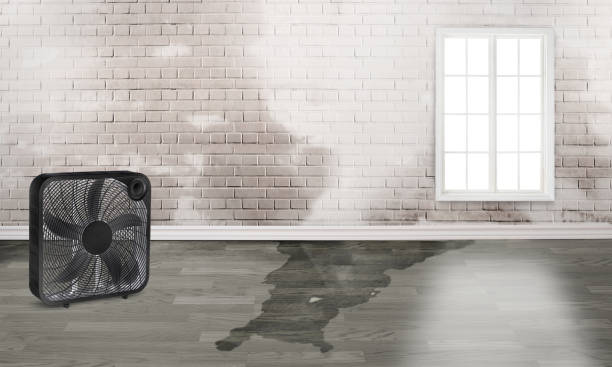 Best Commercial water damage restoration  in Lordstown, OH