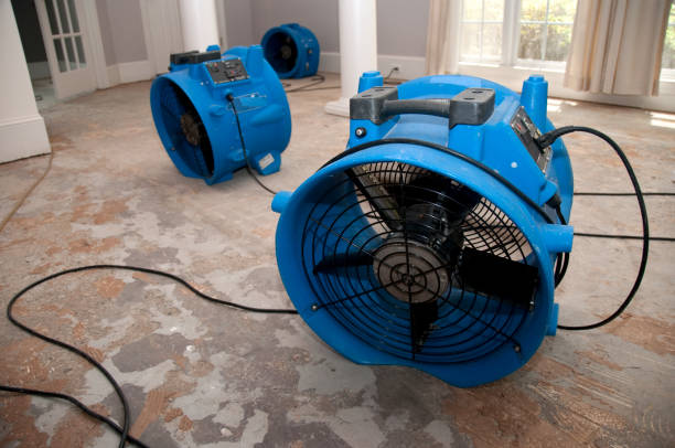 Best Commercial water damage restoration  in Lordstown, OH