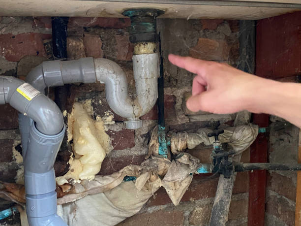 Best Fire Damage Restoration  in Lordstown, OH