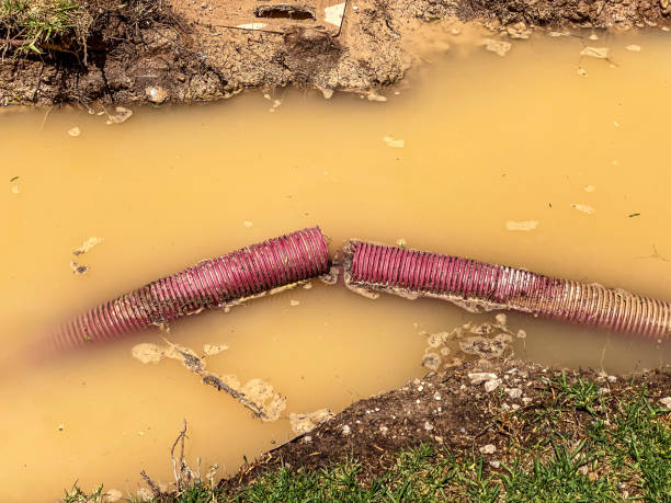 Best Carpet water damage restoration  in Lordstown, OH