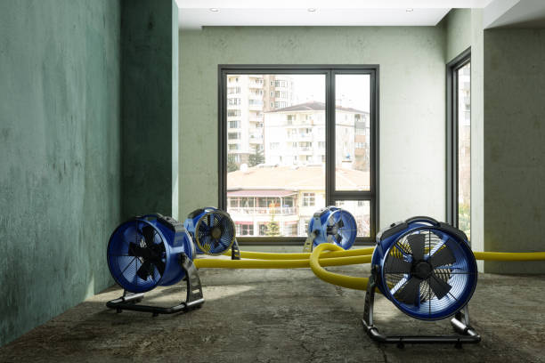 Best Local water damage restoration  in Lordstown, OH