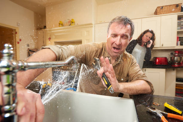 Best Professional water damage repair  in Lordstown, OH
